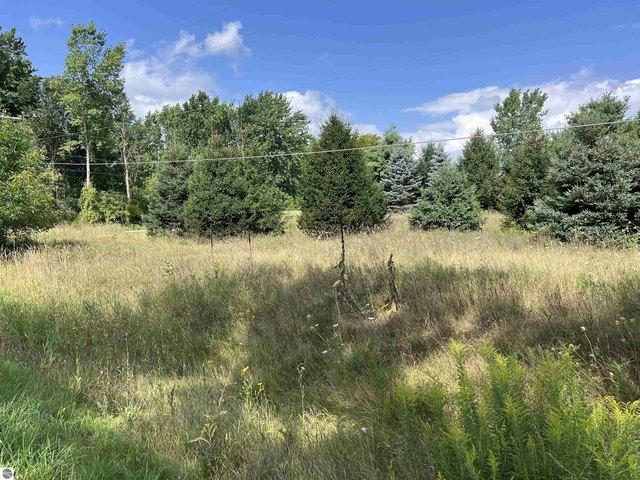 Land for sale in Isabella, Michigan