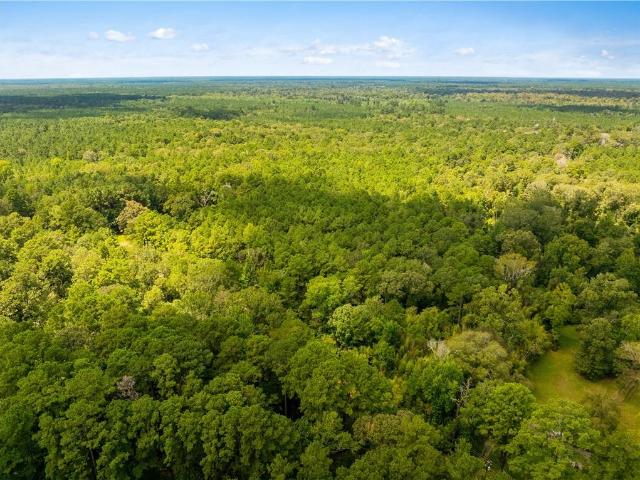 Land for sale in Calcasieu, Glenmora