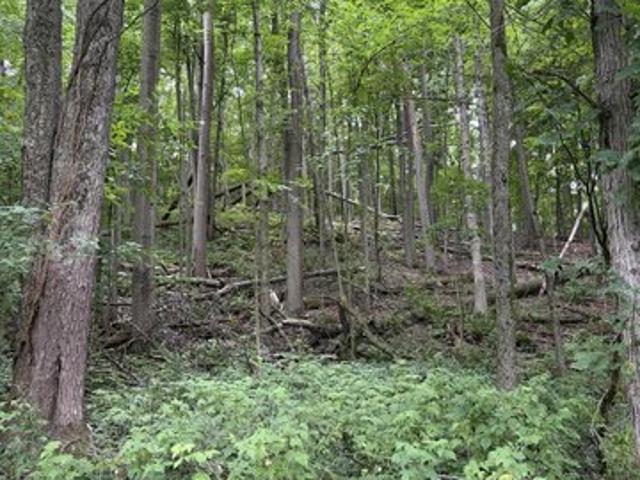 Land for sale in Lowell, Michigan