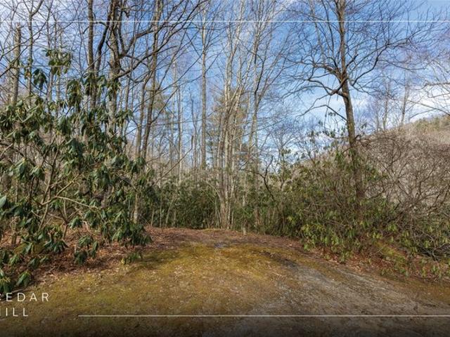 Land for sale in North Carolina