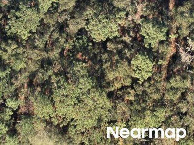 Land for sale in Florida