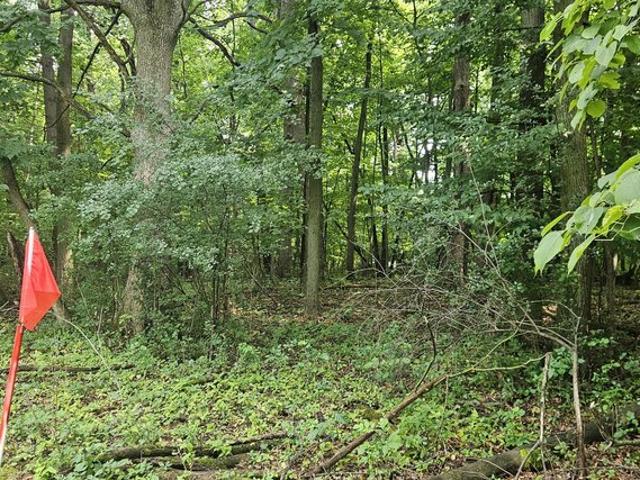 Land for sale in Greenfield Park, Wisconsin