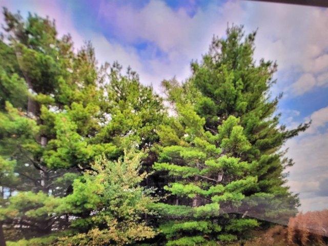 Farm for sale in Waterloo, Iowa