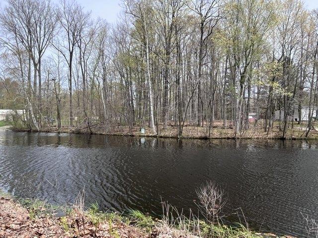 Land for sale in Stanton, Michigan