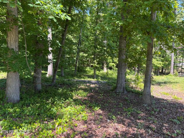 Land for sale in Tennessee