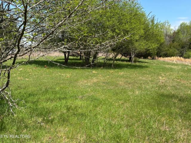 Land for sale in Tennessee