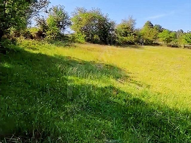İznik, Bursa içerisinde satılık Arsa