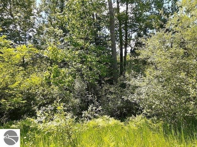 Land for sale in Lupton, Michigan