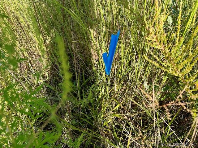 Land for sale in Pekin, Indiana