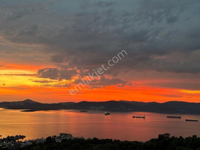 Milas, Muğla içerisinde satılık mülk