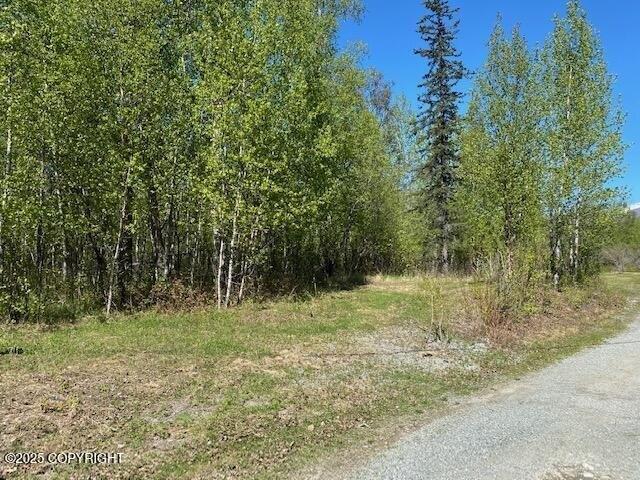 Land for sale in Wasilla