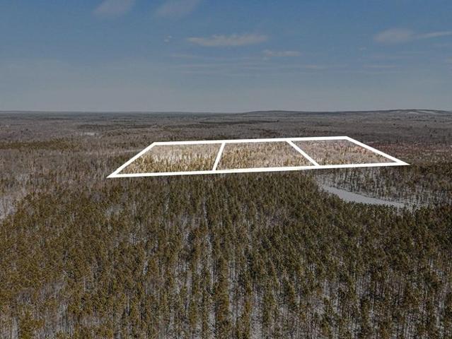 Land for sale in Free Soil, Michigan