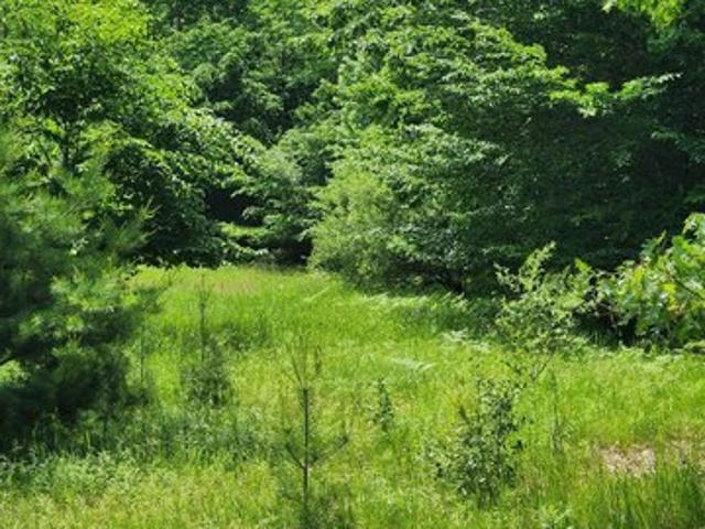 Land for sale in Onekama, Michigan