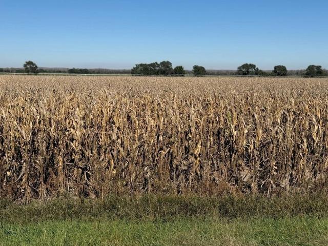 Land for sale in Maxwell, Lincoln County