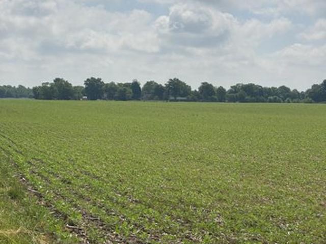Farm for sale in North Salem, Indiana