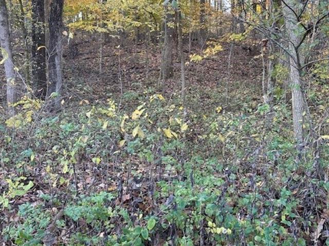 Land for sale in Paoli, Indiana