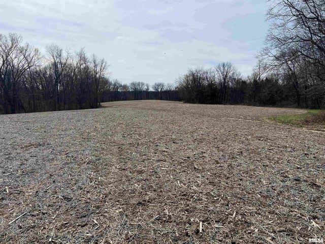 Land for sale in Fulton, Illinois