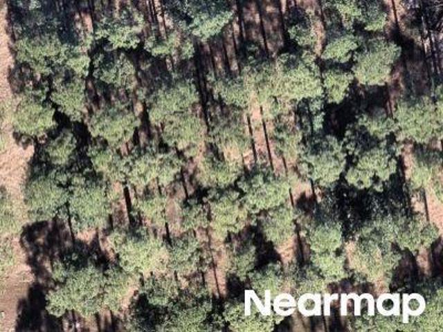Property for sale in Panama City Beach, Bay County