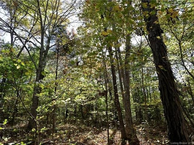 Land for sale in Catherine, Indiana