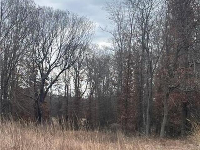 Land for sale in Pittsburg