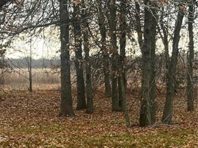 Land for sale in Pittsburg