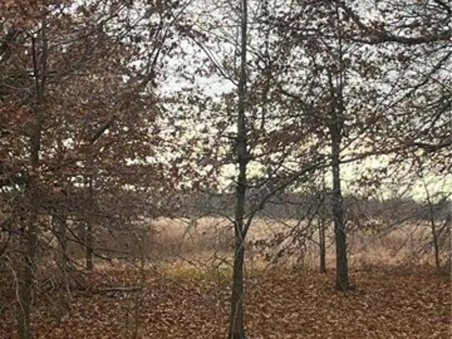 Land for sale in Pittsburg
