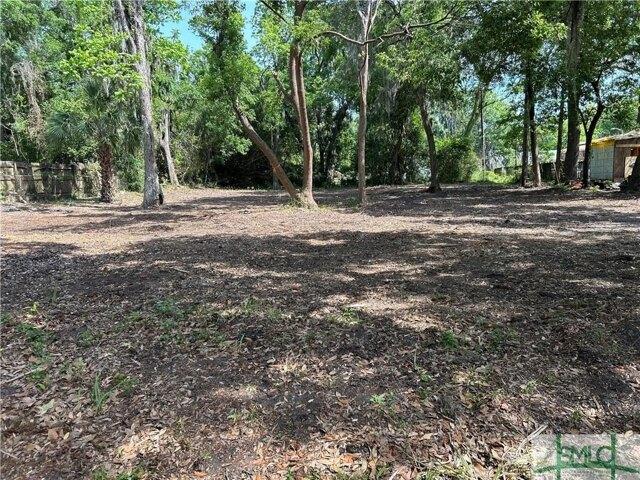 Land for sale in Savannah