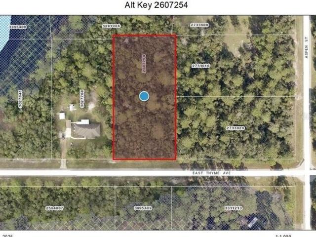 Land for sale in Eustis Land for sale in Eustis