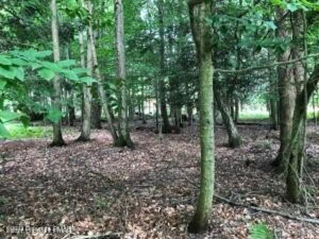 Land for sale in Albrightsville