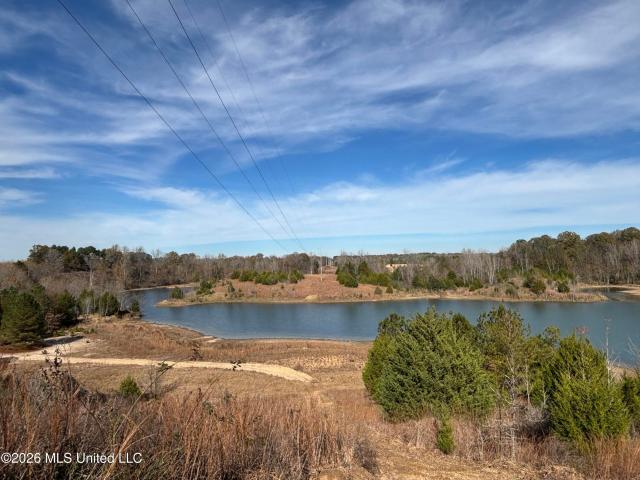 Land for sale in Bentonia, Mississippi