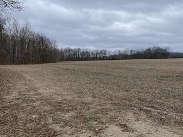 Farm for sale in Crawfordsville, Indiana