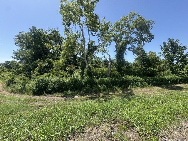 Land for sale in Wharton, Texas