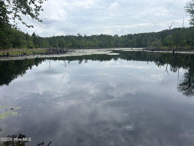 Land for sale in Rockingham, North Carolina