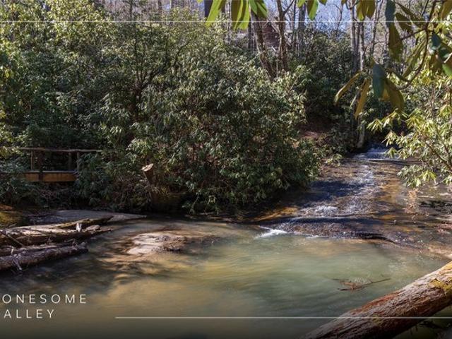 Land for sale in Transylvania, North Carolina