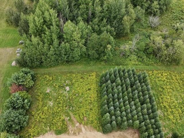 Land for sale in Easton, Maine