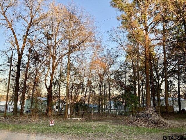 Land for sale in Murchison, Texas