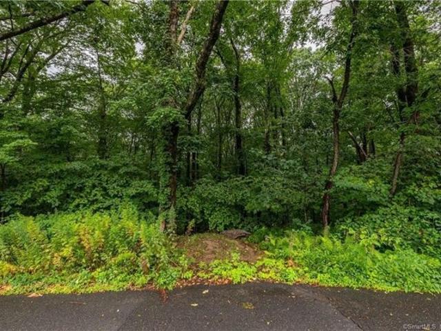 Land for sale in Plymouth, Connecticut