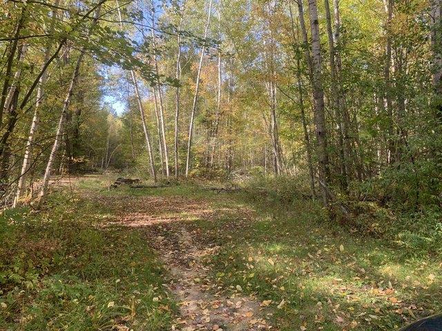 Land for sale in Saint Helen, Richfield Township