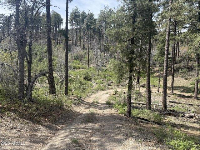 Land for sale in Crown King, Arizona