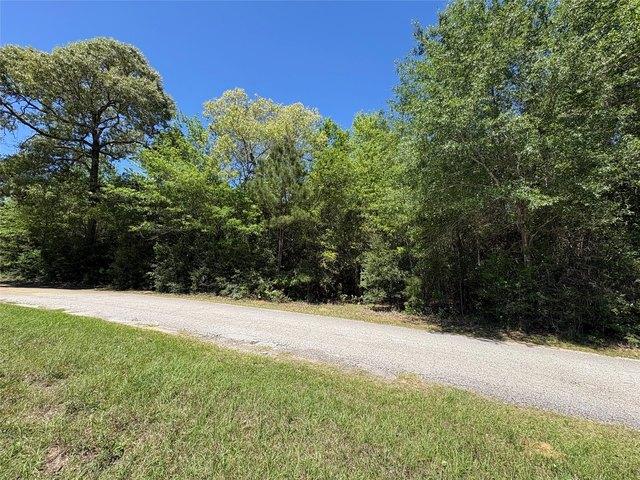 Land for sale in Kountze, Texas