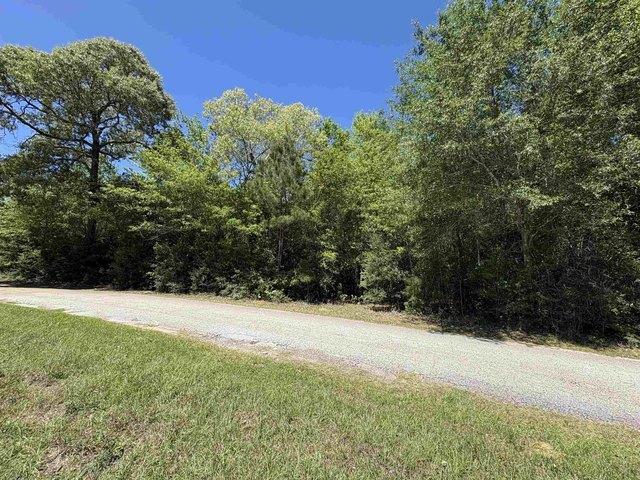 Land for sale in Kountze, Texas