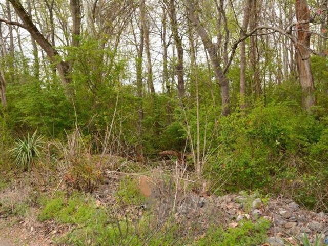 Land for sale in Scottsboro
