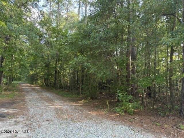 Land for sale in Burgaw, North Carolina