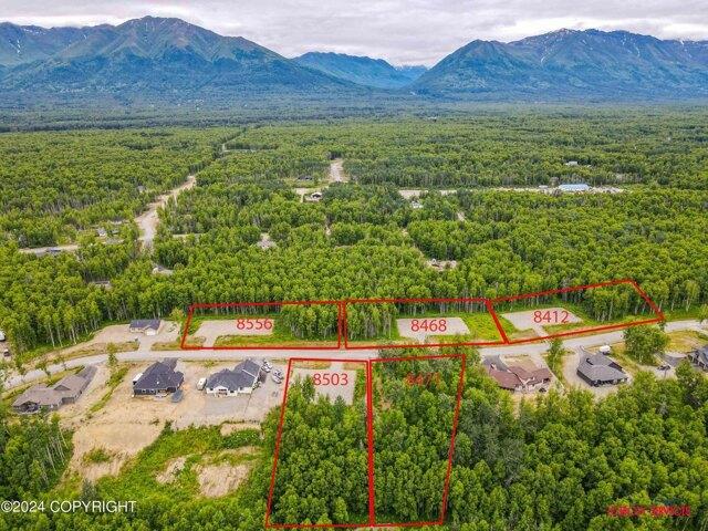 Land for sale in Palmer