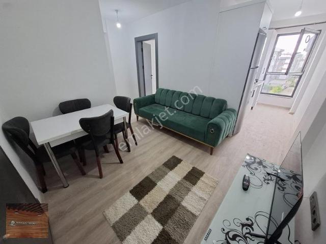 Ordu içerisinde kiralık mülk