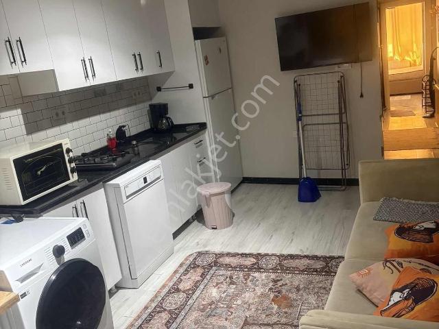 İstanbul Merkez, İstanbul içerisinde kiralık mülk