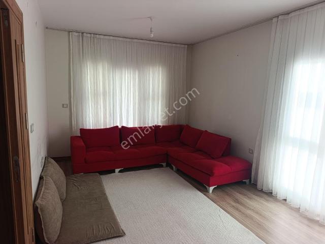 Nusaybin, Mardin içerisinde kiralık mülk