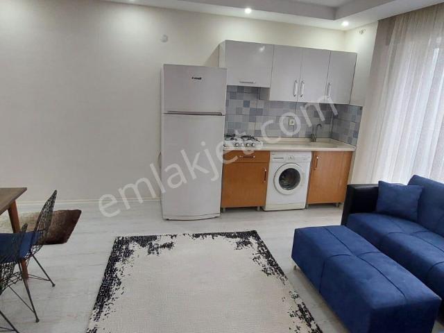 Nazilli, Aydin içerisinde kiralık mülk