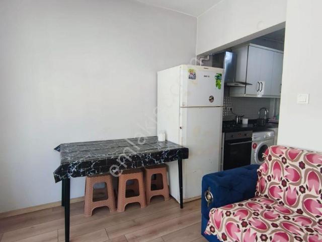 İstanbul Merkez, İstanbul içerisinde kiralık mülk