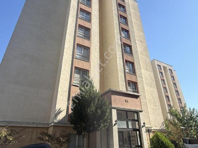 Bekirpaşa, İzmit içerisinde kiralık mülk